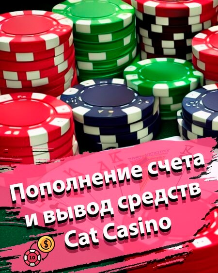 Пополнение счета и вывод средств Кэт Казино